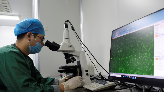 Một kỹ thuật viên kiểm tra mẫu tinh dịch qua kính hiển vi. Ảnh: Reuters