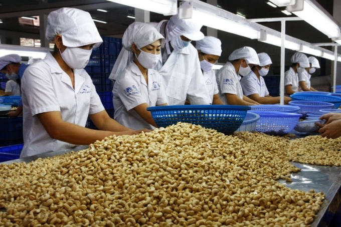 Bất ngờ với số gạo, hạt điều Việt Nam nhập từ nước ngoài năm 2021