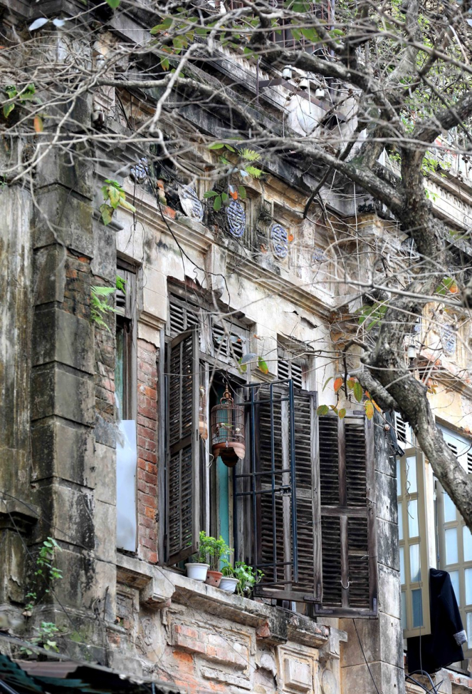 Mùa cây thay lá như tôn thêm vẻ cổ kính của những ngôi nhà trên phố cổ Hà Nội. (Ảnh: Nhật Anh/TTXVN)