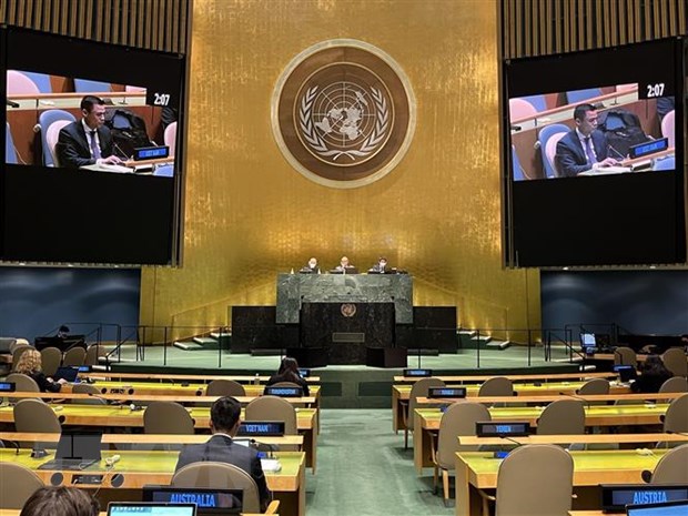   Đại sứ Đặng Hoàng Giang phát biểu tại một phiên thảo luận tại Liên hợp quốc. (Ảnh: Khắc Hiếu/TTXVN)  