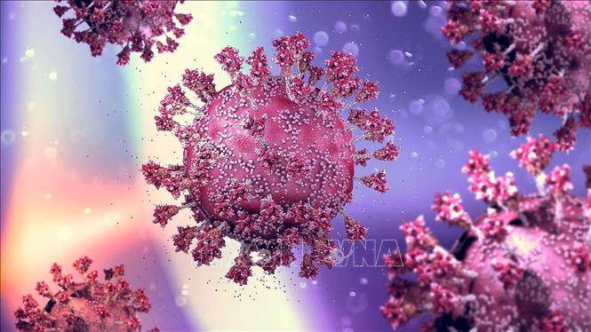 Hình ảnh mô phỏng virus SARS-CoV-2 gây bệnh COVID-19. Ảnh minh họa: MedPage Today/TTXVN