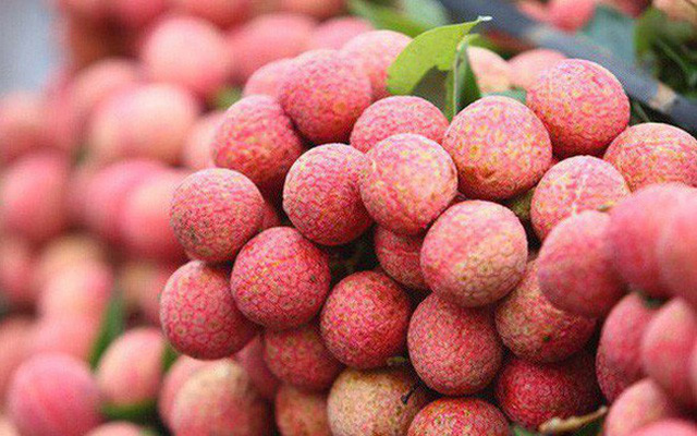  6 loại hoa quả nổi tiếng Việt Nam được cấp phép xuất khẩu
