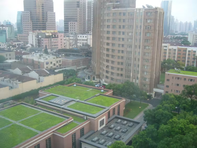 Những mái nhà đầy cỏ ở Thượng Hải. Ảnh: Kafka4prez / Flickr, CC BY-SA