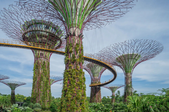 Singapore được quốc tế biết đến với sự hòa nhập của môi trường đô thị với thiên nhiên. (Ảnh Getty/Buena Vista )