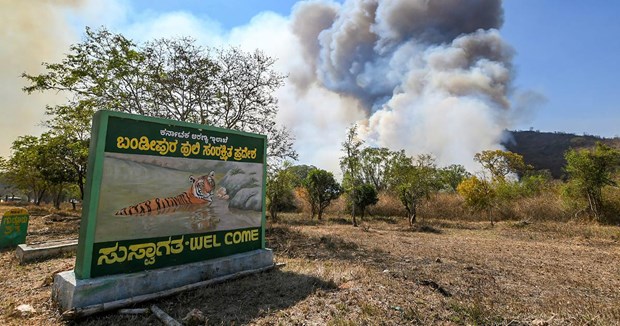 Khói bay lên không trung sau khi đám cháy bùng phát tại Khu bảo tồn hổ Bandipur ở Karnataka