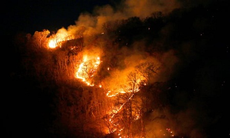 Một vụ cháy rừng ở Amazon