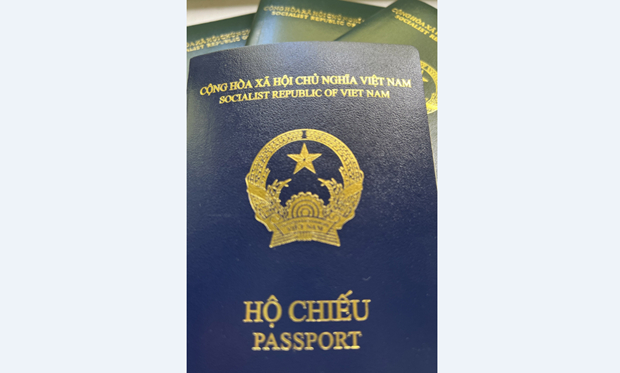 Cuốn hộ chiếu kiểu mới (màu xanh tím than) so với các cuốn hộ chiếu cũ màu xanh. (Ảnh: Mạnh Hùng/TTXVN).