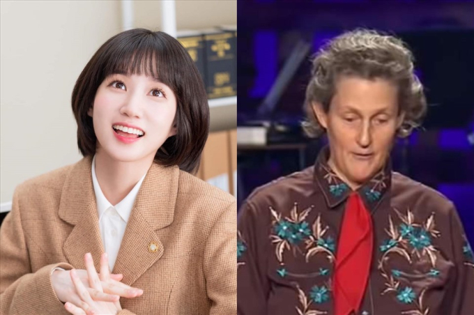 Nhân vật Woo Young Woo được lấy cảm hứng từ cuộc đời Giáo sư Temple Grandin