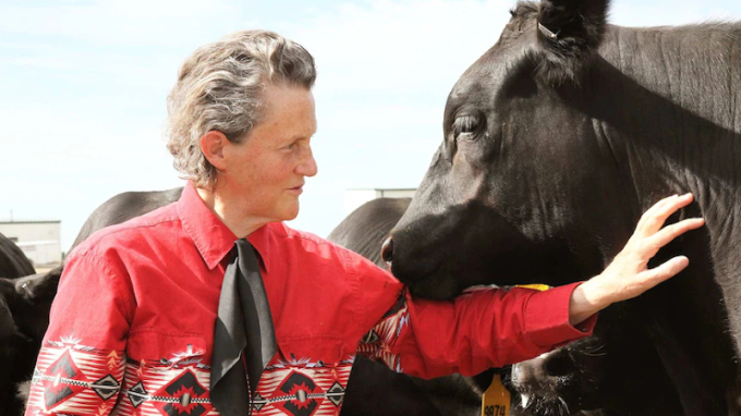 Temple Grandin được coi là một trong những người có ảnh hưởng nhất trên thế giới. Ảnh: Rosaline Winard