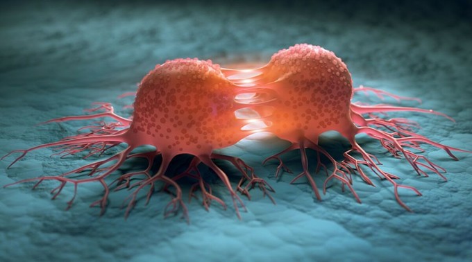   Hình ảnh tế bào ung thư được biểu thị bằng đồ họa. Ảnh: University of Chicago  