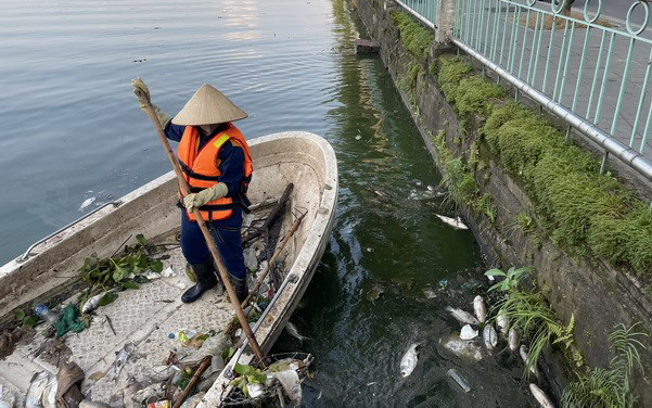 Sở Xây dựng Hà Nội nói gì về hiện tượng cá chết hàng loạt ở Hồ Tây?
