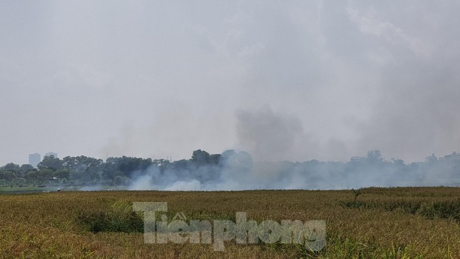 Khu vực xã Dục Tú, xã Mai Lâm (Đông Anh, TP Hà Nội) khói từ rơm rạ bay mù mịt.  Ảnh: Tiền phong