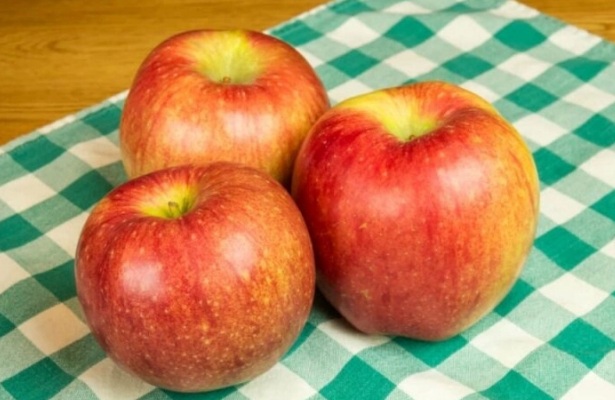 Giống táo đắt đỏ nhất thế giới có gì đặc biệt?