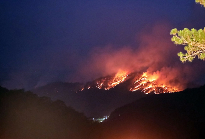Hơn 10 ha rừng thông bị ảnh hưởng trong vụ cháy ở đèo Prenn, Đà Lạt