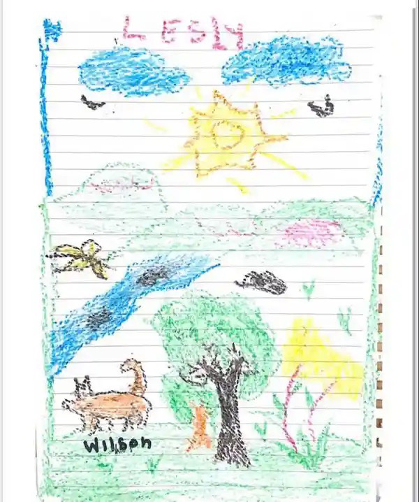   Bức vẽ tri ân con chó Wilson của em Lesly (13 tuổi) - Ảnh: TWITTER QUÂN ĐỘI COLOMBIA  