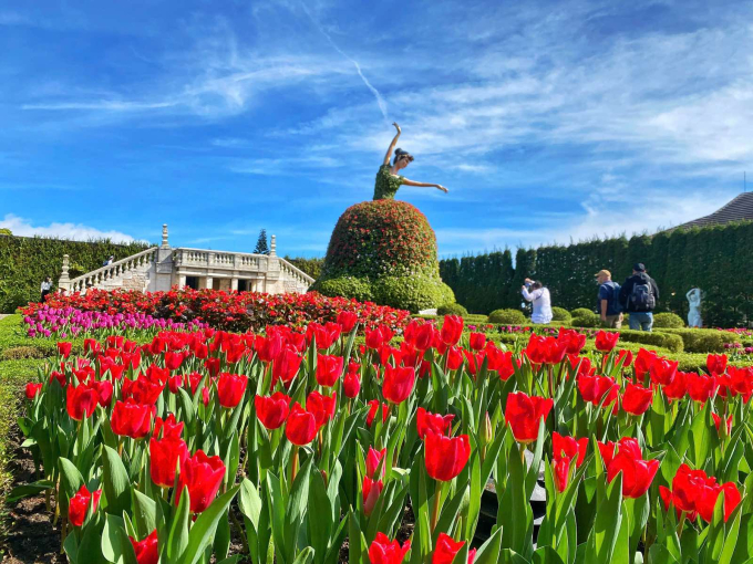 Sắc xuân ngập tràn tại Sun World Ba Na Hills 