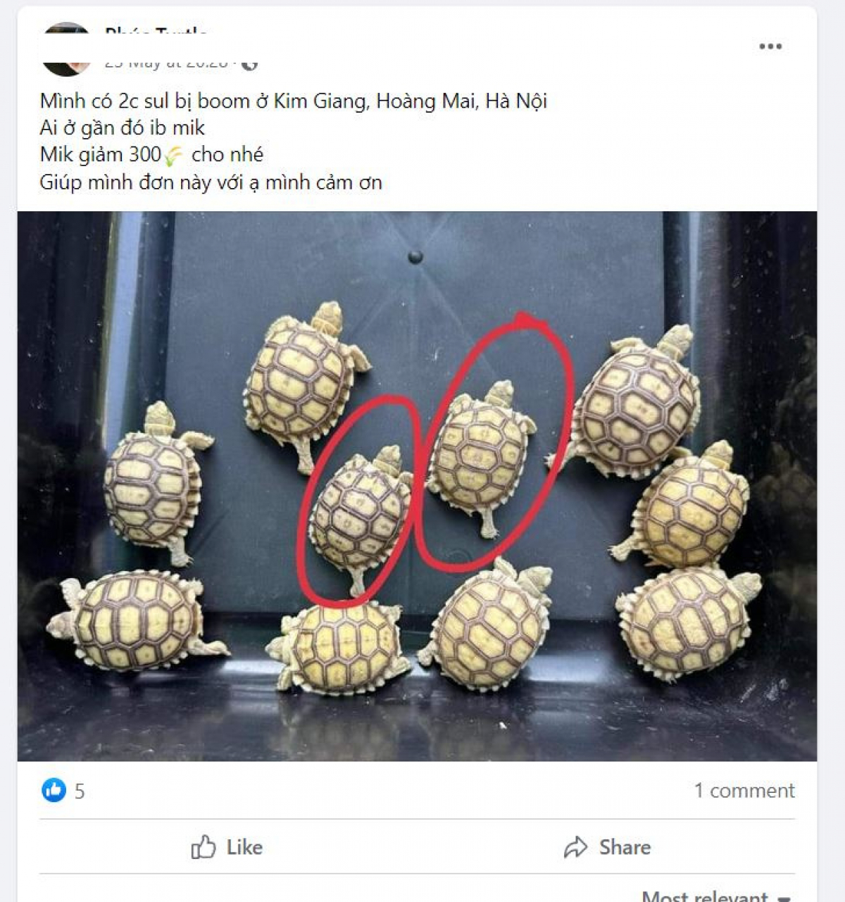 Đã có 10 nhóm kín chuyên rao bán động vật hoang dã bị gỡ bỏ vĩnh viễn khỏi không gian mạng.