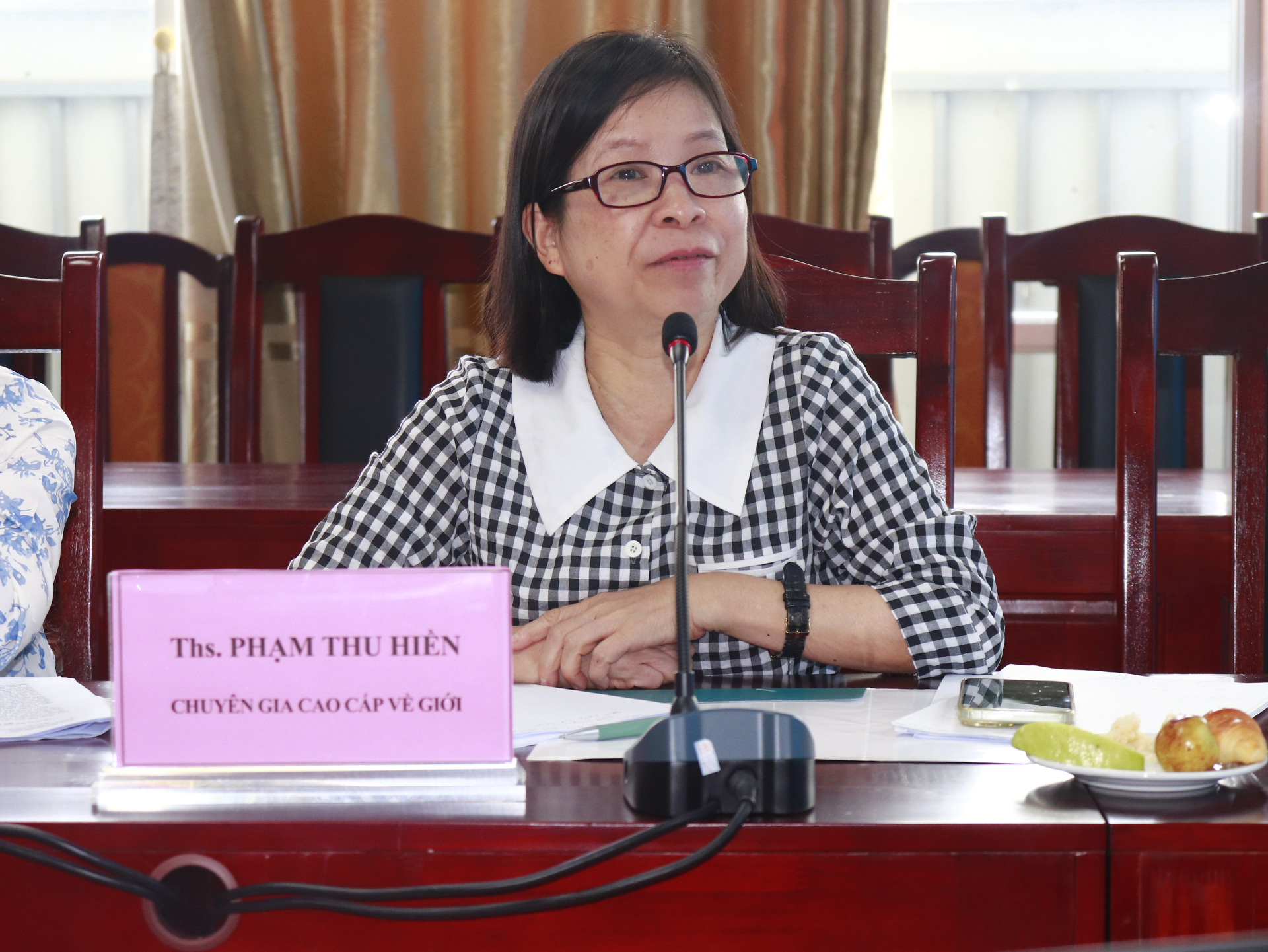 Bà Phạm Thu Hiền, chuyên gia nghiên cứu cao cấp về giới nêu nhiều ý kiến thiết thực tại tọa đàm. 