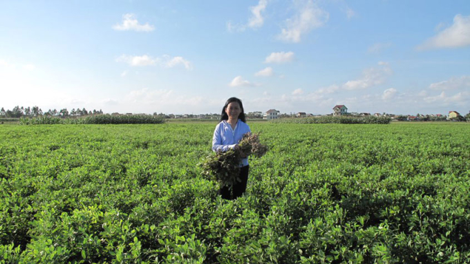  TS. Nguyễn Thu Hà đã được cấp bằng sáng chế hữu ích về chế phẩm vi sinh cải tạo đất