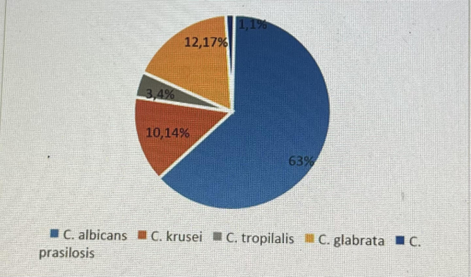 Tỷ lệ Candida gây viêm âm hộ, âm đạo và hiệu quả điều trị của phương pháp kết hợp giữa Lactobacilli với Econazole