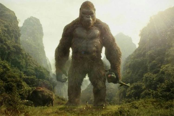 Godzilla x Kong: Đế Chế Mới - Godzilla tái đấu Kong nhân dịp kỷ niệm 10 năm vũ trụ điện ảnh 48.000 tỷ ra mắt