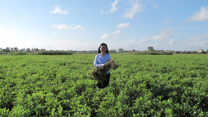 Nghiên cứu của TS. Nguyễn Thu Hà bao gồm  các sản phẩm vi sinh vật hỗn hợp, các chế phẩm cố định đạm và hòa tan phốt pho, và các chế phẩm để bẫy tuyến trùng, là những loài giun ký sinh trên thực vật