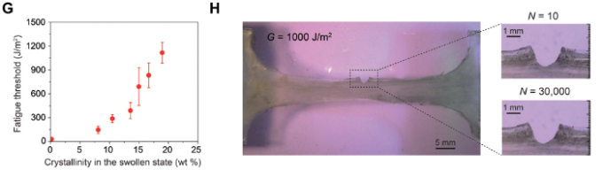 Hình 3: Đo ngưỡng mỏi (đứt gãy) của PVA hydrogels. Ngưỡng mỏi tăng lên theo độ kết tinh của hydrogel trong trạng thái trương (G). Hình H xác nhận ngưỡng mỏi 1000 J/m2 trong  90 phút nung khô hydrogel dùng phương pháp kiểm tra va đập đơn. (S. Lin,2019)