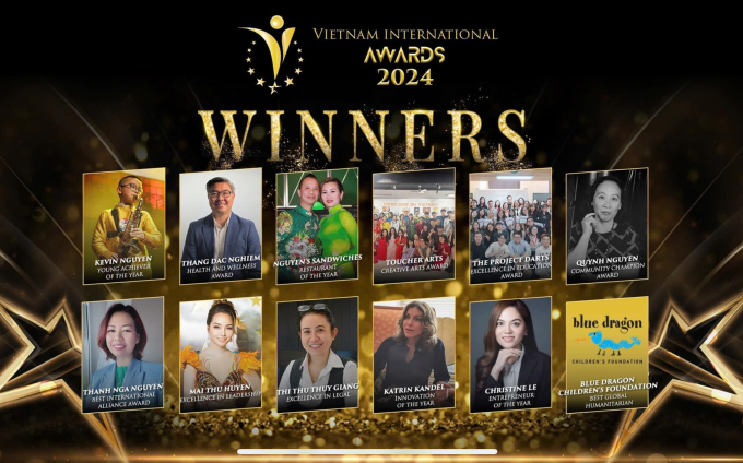 12 giải thưởng trong VN International Awards 