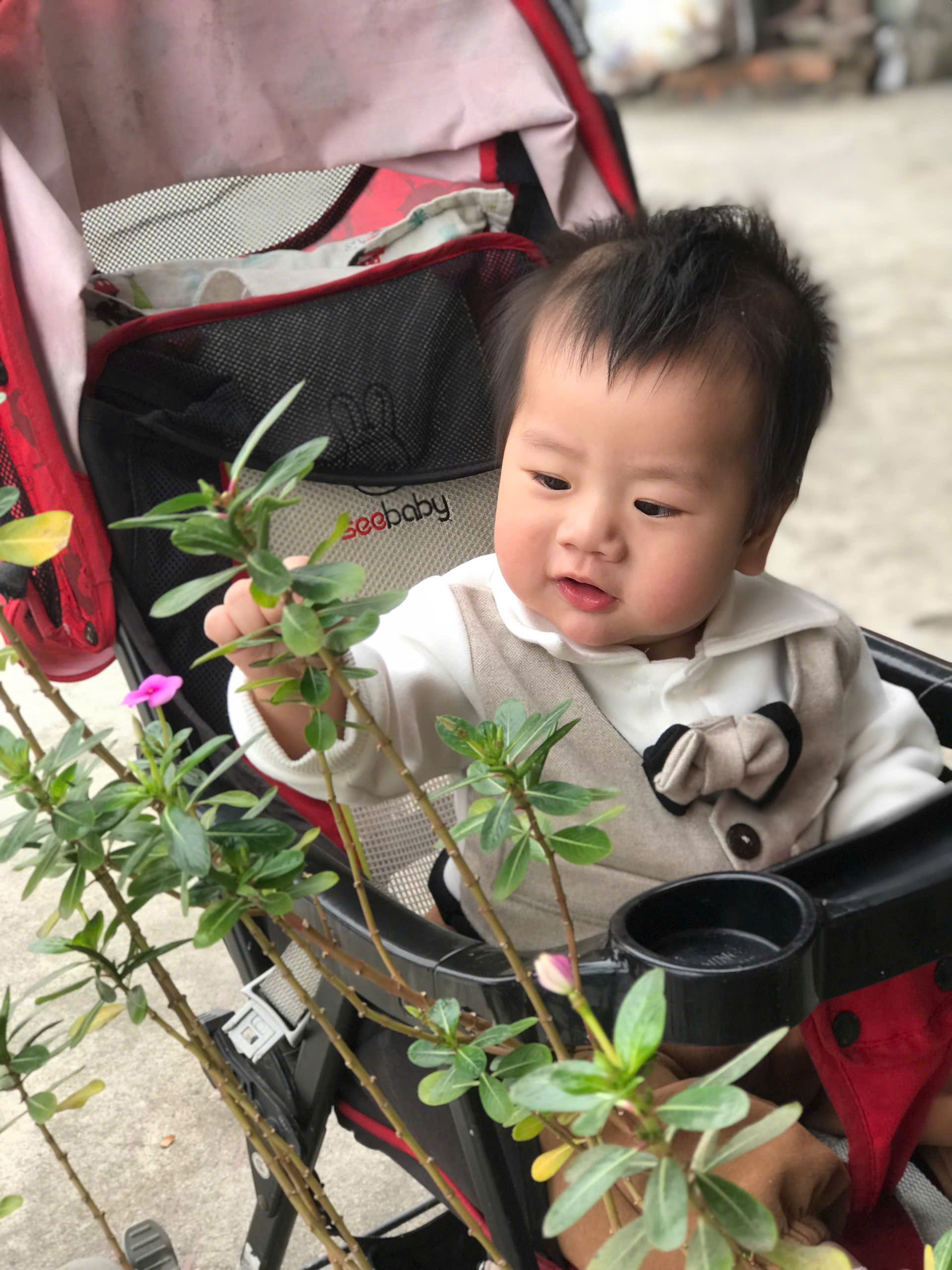 Bé Nguyễn Thắng Đại, sinh đúng ngày 30.4.2024 - kỷ niệm 49 năm Ngày Giải phóng miền Nam, thống nhất đất nước