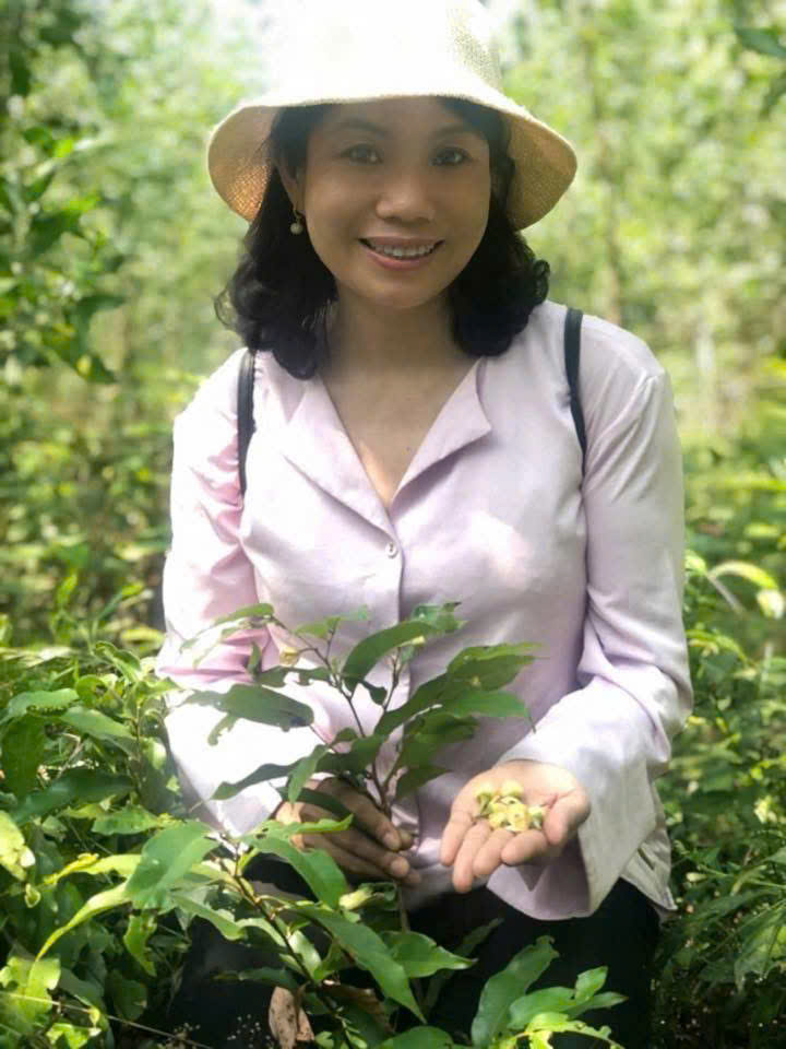 Tiến sĩ Nguyễn Thị Thúy Hường ở vùng dược liệu Quảng Nam
