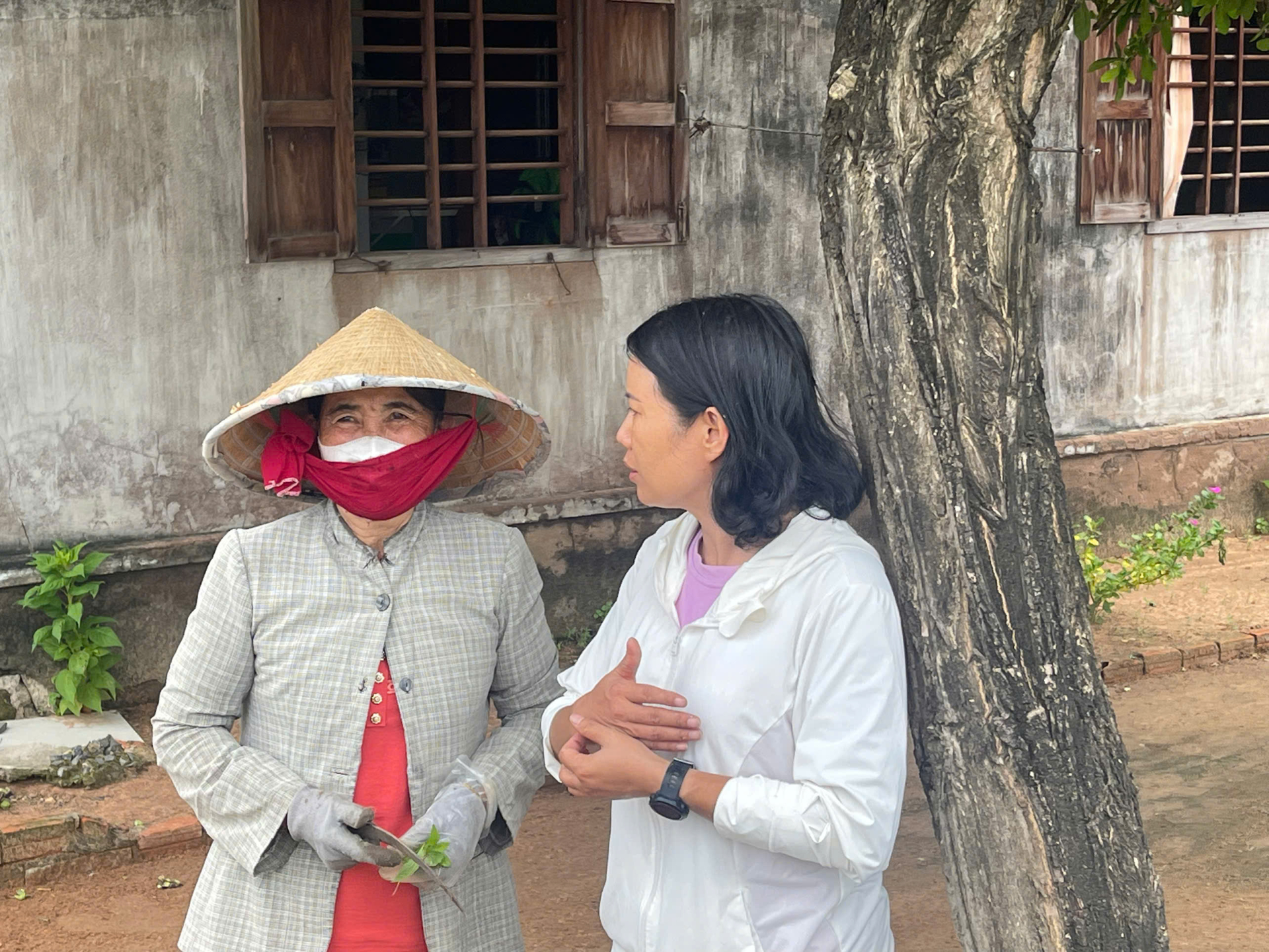 TS. Nguyễn Thị Thúy Hường đã chủ động liên hệ với người dân địa phương tại khu vực phát hiện loài cây quý, nhằm phục vụ cho công tác nuôi cấy gen, trồng dược liệu và thu mẫu trong các giai đoạn tiếp theo.
