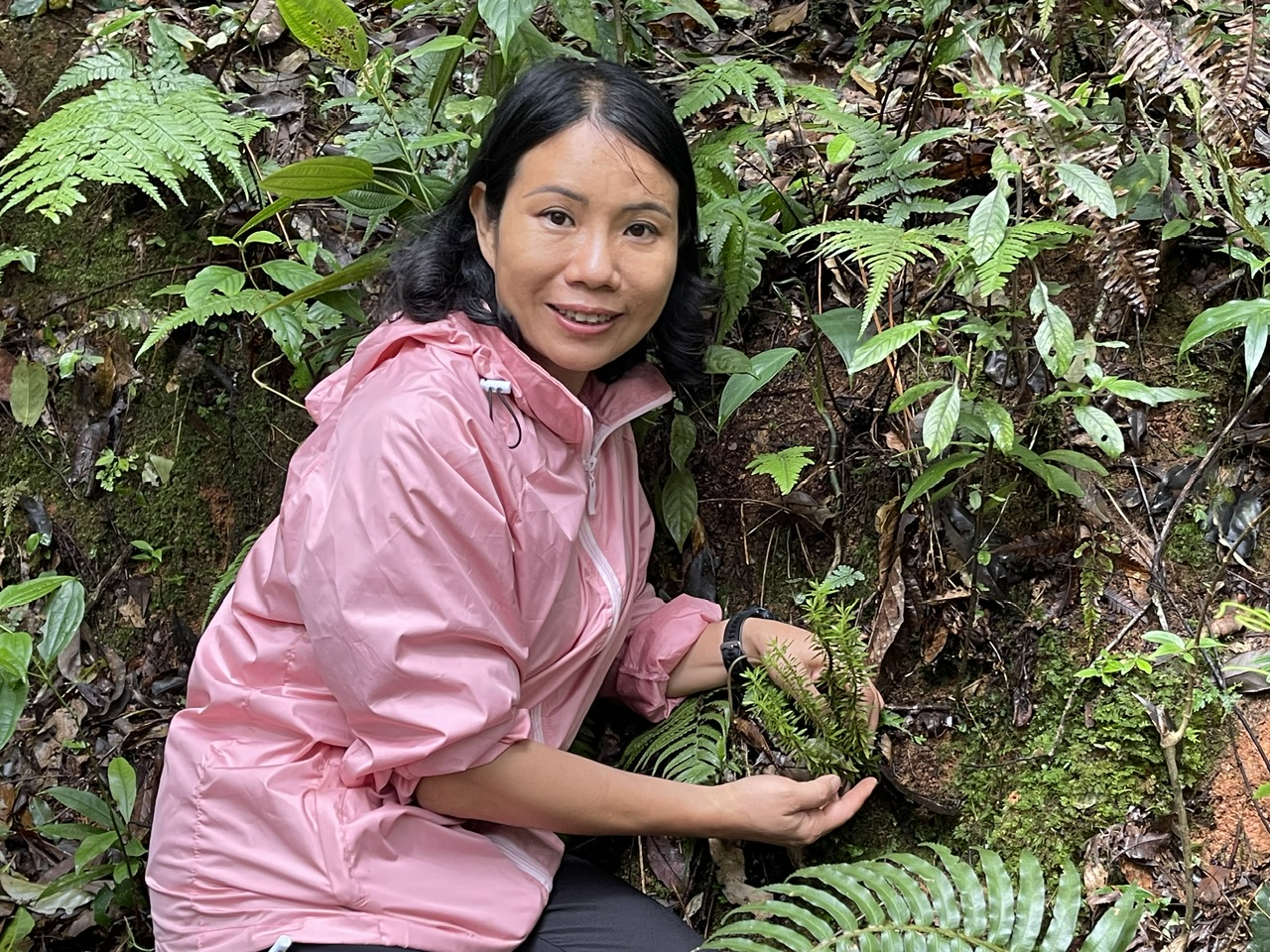  TS. Nguyễn Thị Thúy Hường vui mừng khi tìm thấy cây thạch tùng răng – loài thảo dược quý đã được chị và TS. Bá Thị Châm nghiên cứu, phát triển thành sản phẩm hỗ trợ trí não đang được thị trường đón nhận.