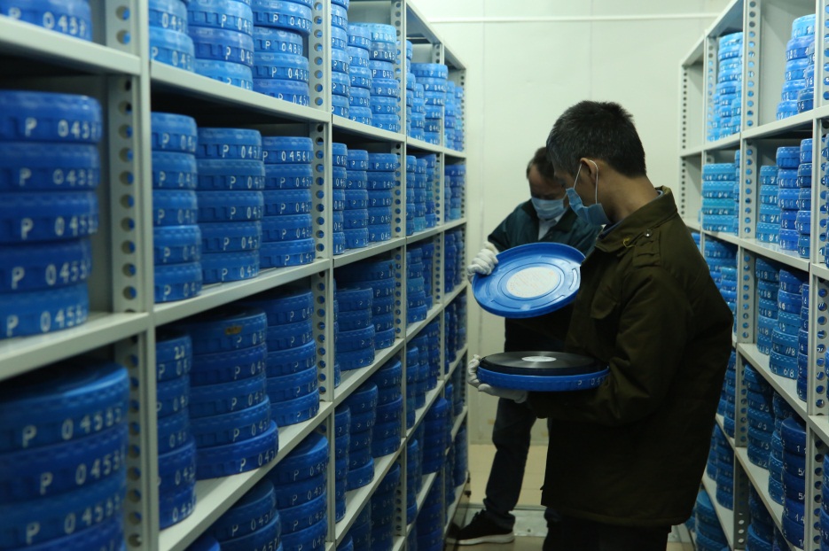 Nhân viên kho kiểm tra tình trạng phim lưu trữ định kỳ