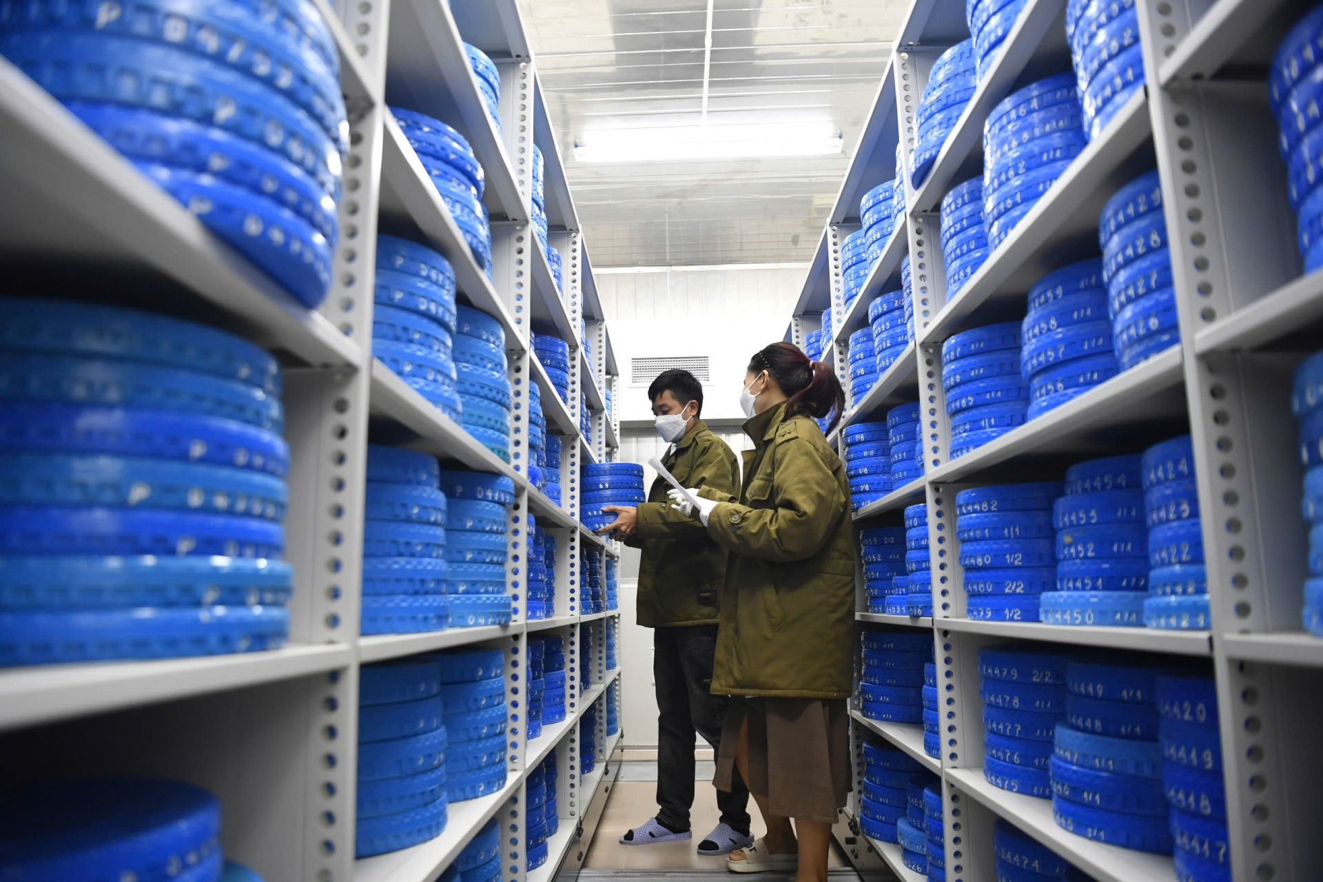  Viện đang lưu giữ gần 20.000 tên phim, tương đương khoảng 80.000 cuốn phim nhựa 16mm và 35mm, cùng hàng chục nghìn băng video các định dạng khác nhau.