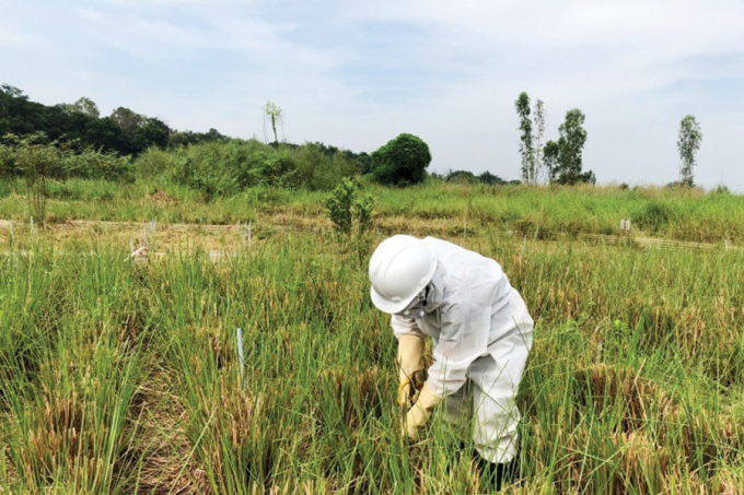 PGS.TS Ngô Thị Thúy Hường ngoài thực địa