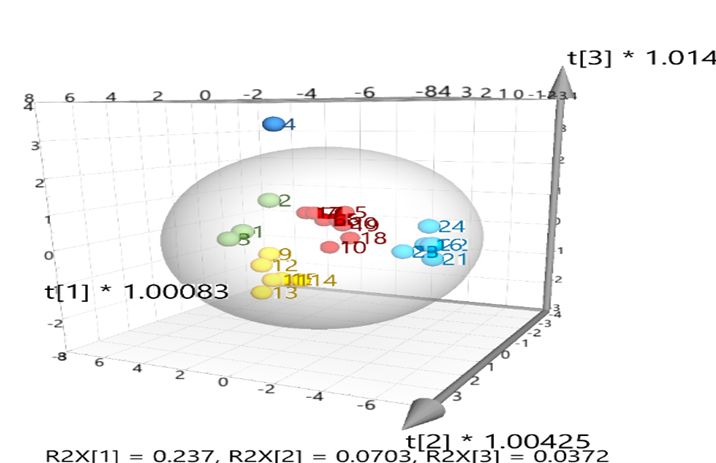 Phân tích OPLS-DA của 24 mẫu mật ong thu thập tại Việt Nam