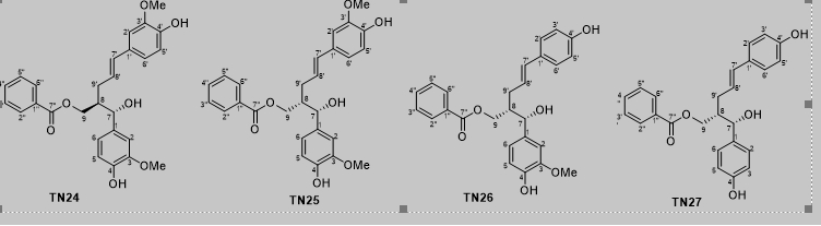  Các hợp chất neolignan mới