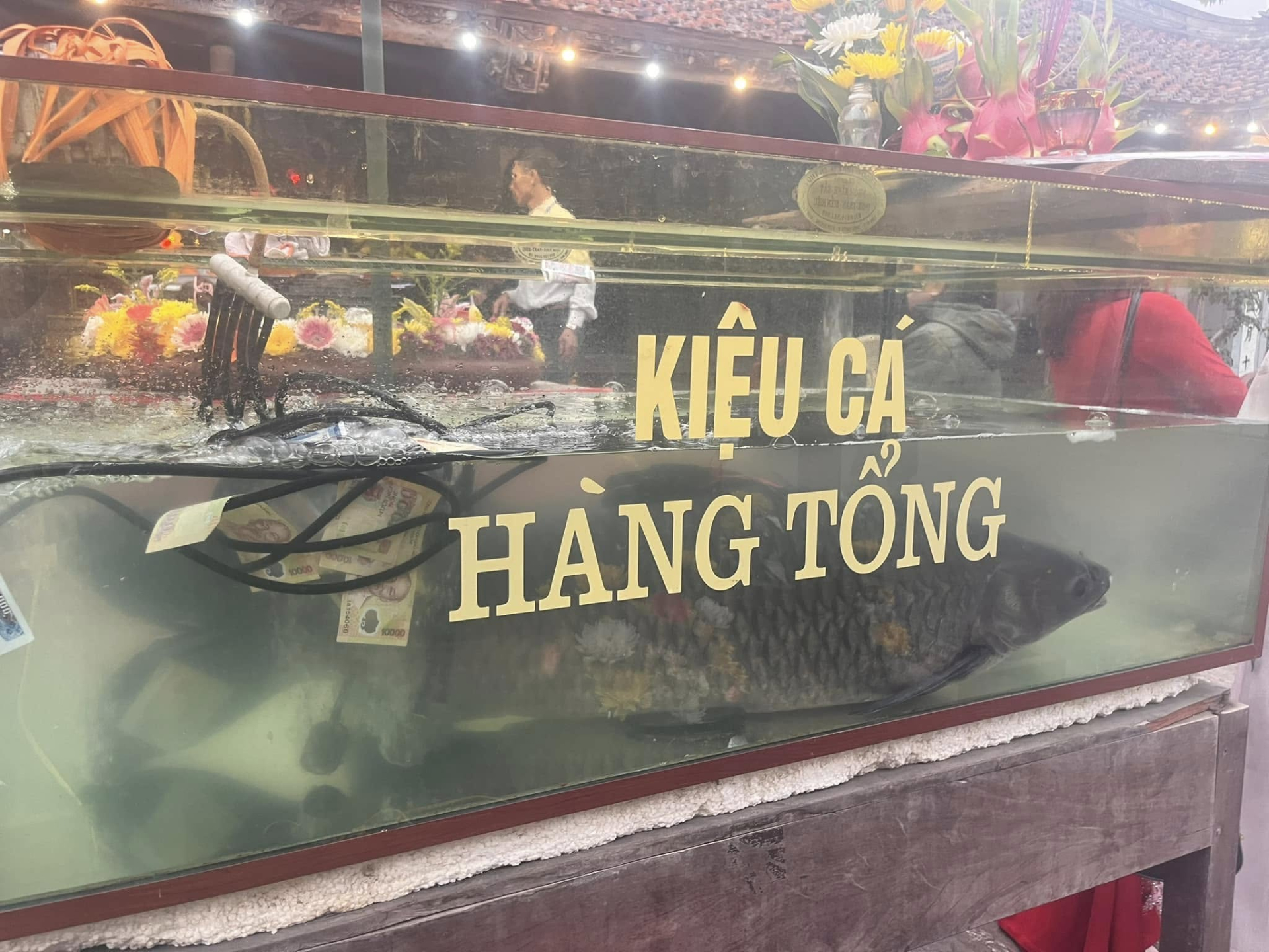 Lễ hội truyền thống Đền Gin – Không gian bảo tồn lịch sử và di sản văn hóa ẩm thực dân gian