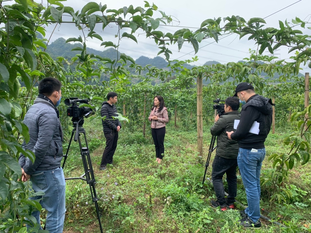 TS. Nguyễn Thị Bích Ngọc: Kiểm soát dư lượng hóa chất bắt đầu từ quản lý dịch hại tổng hợp