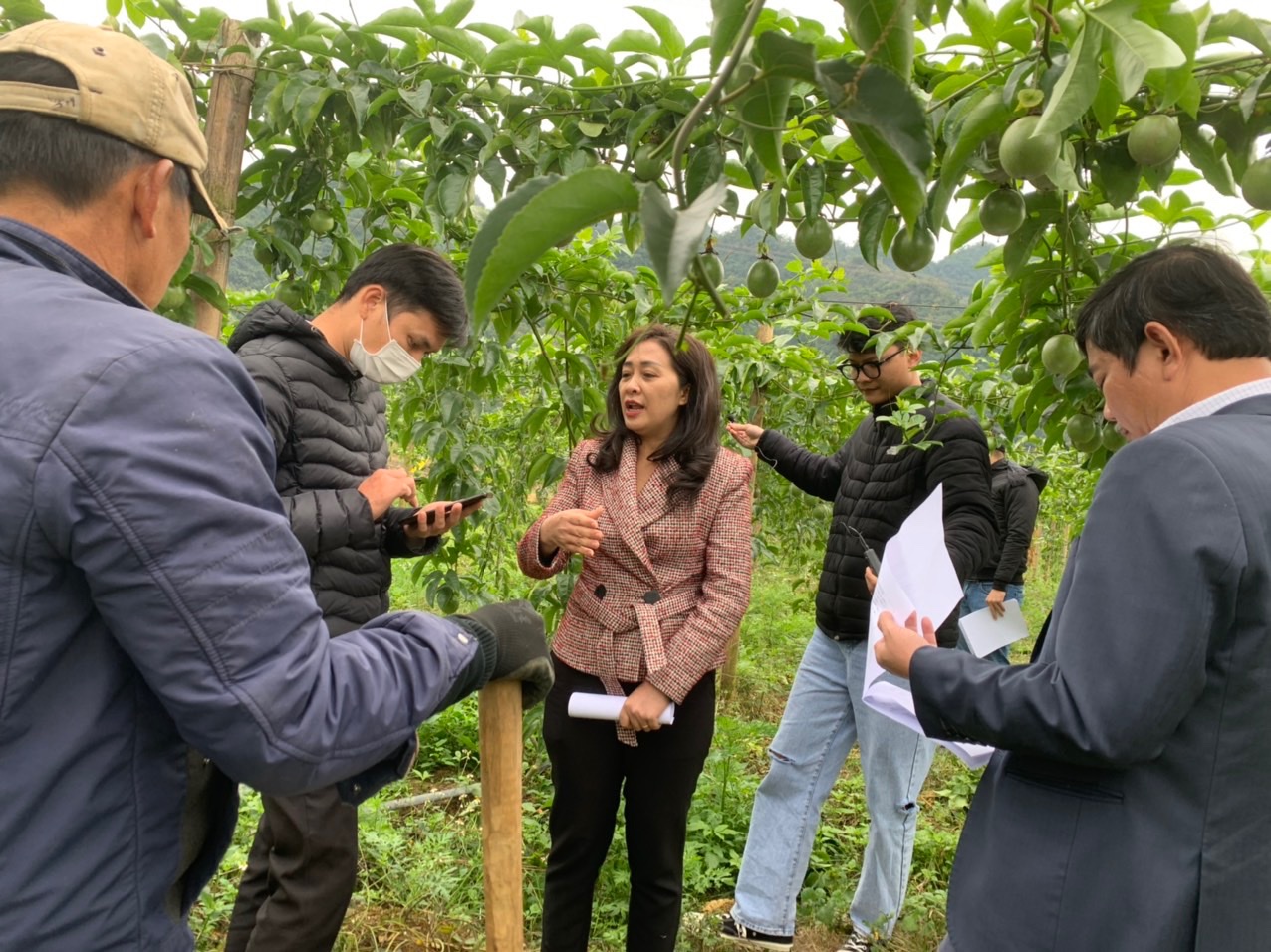 TS. Nguyễn Thị Bích Ngọc: Kiểm soát dư lượng hóa chất bắt đầu từ quản lý dịch hại tổng hợp