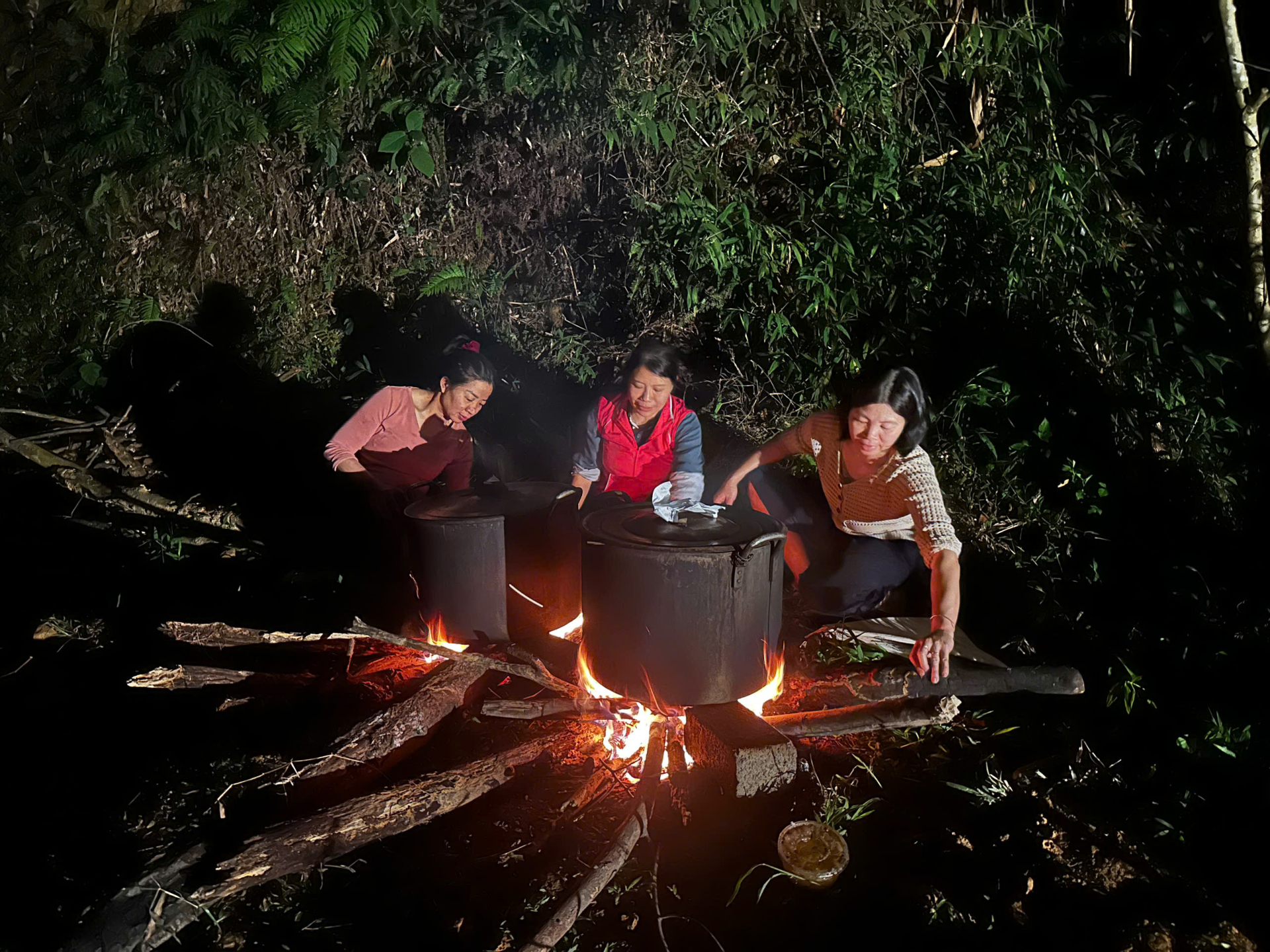 Náu bánh chưng Tết Bính Ngọ 