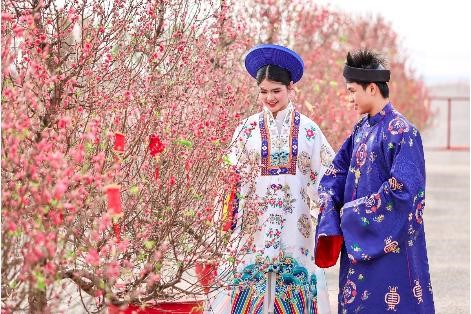 Cung đường hoa mai - đào đã nở rộ, trở thành “studio khổng lồ” cho du khách check-in