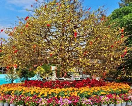 Đón hàng vạn lượt khách trong 10 ngày: Cần Giờ “đổi vai” thành trung tâm sôi động mới của TP.HCM