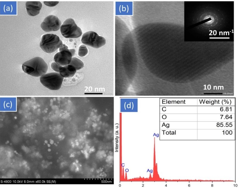Kết quả phân tích hình thái cấu trúc và đặc trưng của nano bạc được tổng hợp bằng phương pháp hóa học xanh, sử dụng dịch chiết nụ vối đóng vai trò chất khử
