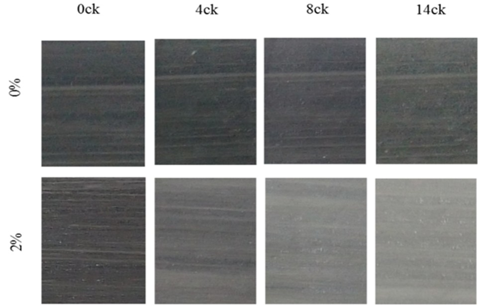 Ảnh chụp các mẫu lớp phủ đối chứng và mẫu lớp phủ chứa 2% nano lai ZnO-Ag được phun chất bẩn nhân tạo sau 14 chu kỳ thử nghiệm gia tốc UV (8 giờ chiếu UV/chu kỳ tại 60 oC).