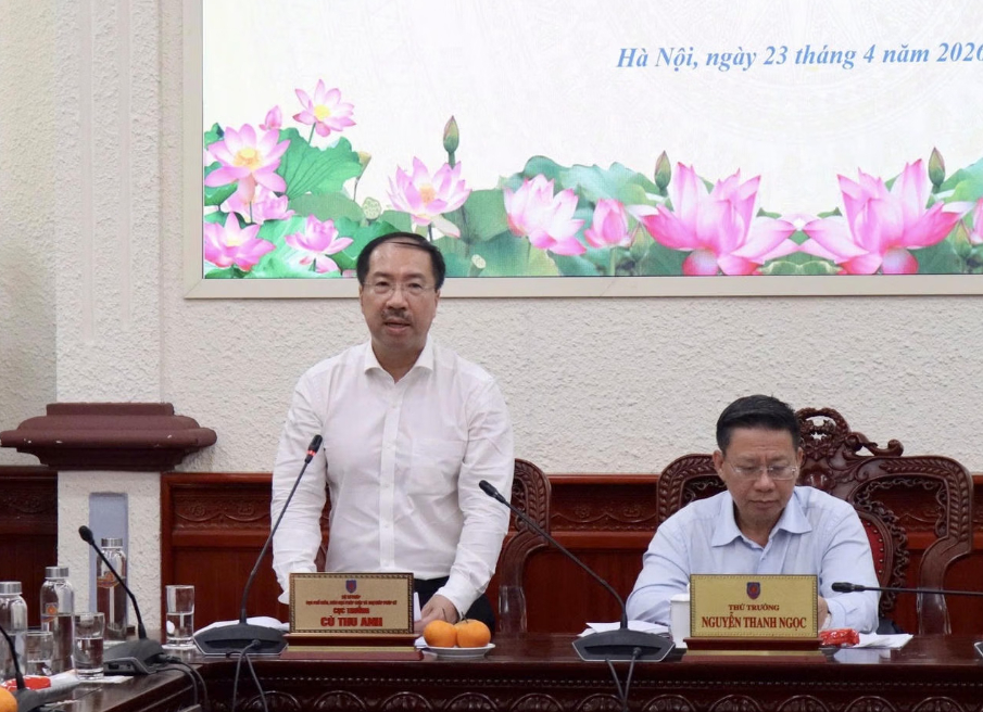 Cục trưởng Cù Thu Anh phát biểu tại cuộc họp.