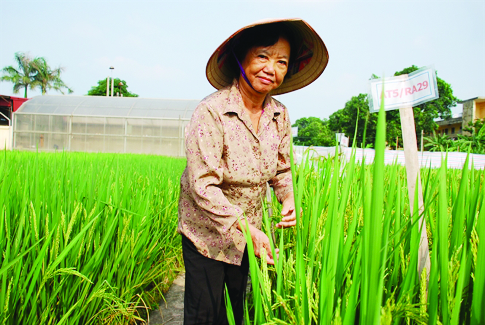 PGS.TS Nguyễn Thị Trâm