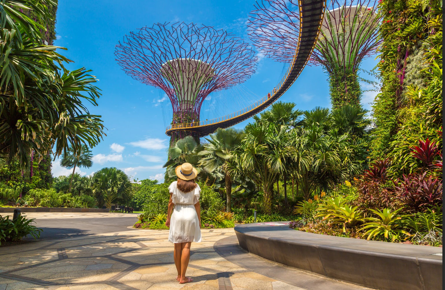  Sun PhuQuoc Airways hiện diện tại Singapore mở ra cánh cửa lớn để Phú Quốc tiếp cận dòng khách quốc tế lớn