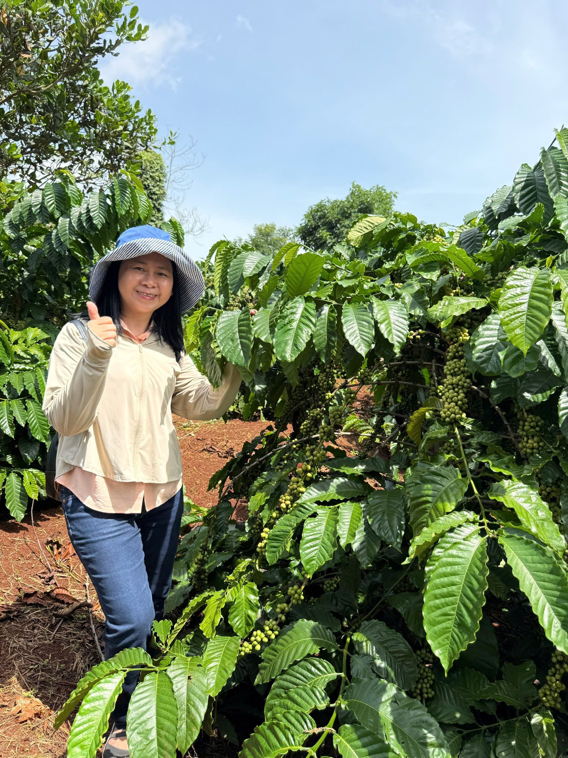 Giải mã “hệ vi sinh vật vùng rễ” cà phê bằng công nghệ Ý: Mở hướng đi mới cho nông nghiệp xanh ở Tây Nguyên