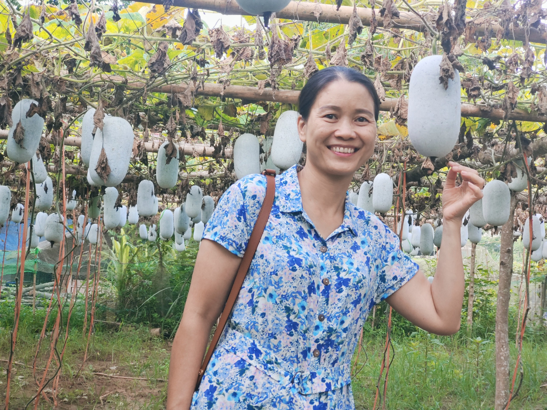 Xây dựng chỉ dẫn địa lý bí xanh thơm